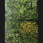 Suggest Product Thumbnail